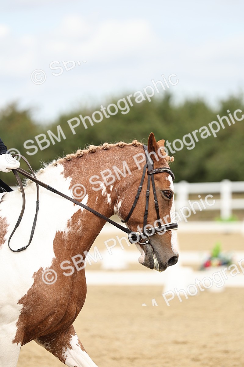 SBM_007321 - Class 25 - FEI PSG Bronze