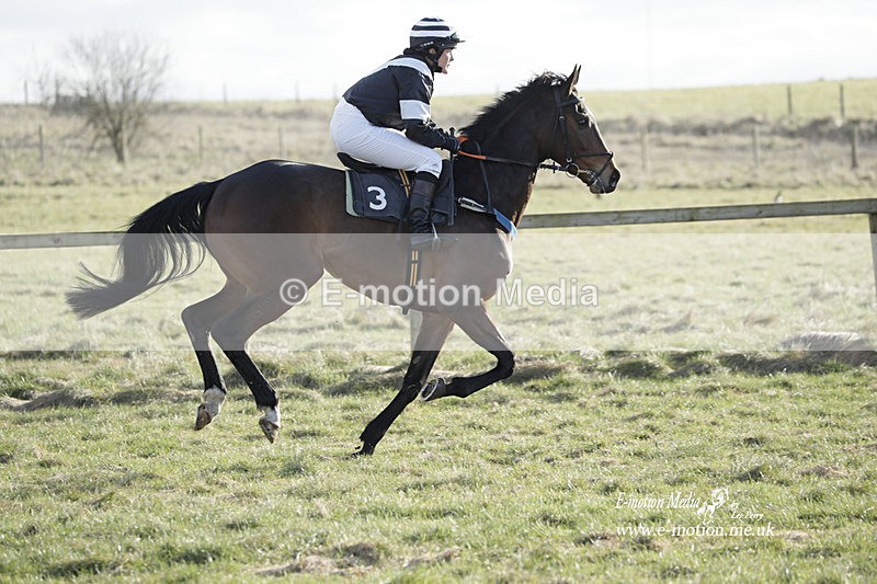 PtP 260223 1144 - South & West Wilts Point-to-Point Larkhill 26/02/23