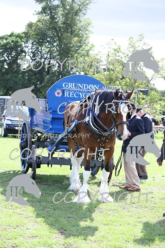 APP_3572 - Class 7 Turnout for a single or pair