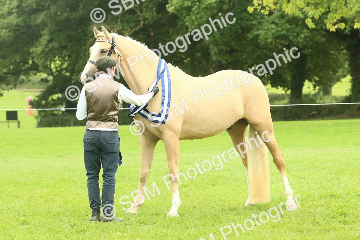 SBM_75141 - Super Supreme Championship