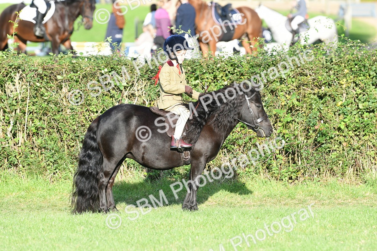 SBM_54066 - S23 - 1st Ridden Mountain & Moorland Pony