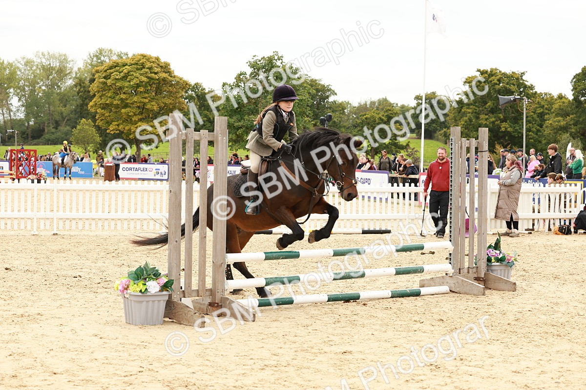 SBM_63640 - J12 - Junior Pony 55cm Championship