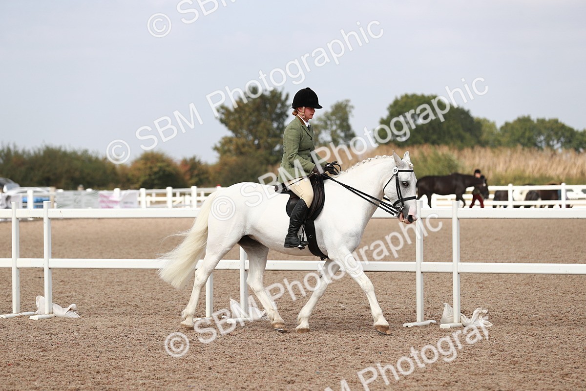 SBM_14804 - Class 212 Ridden Hunter - Small