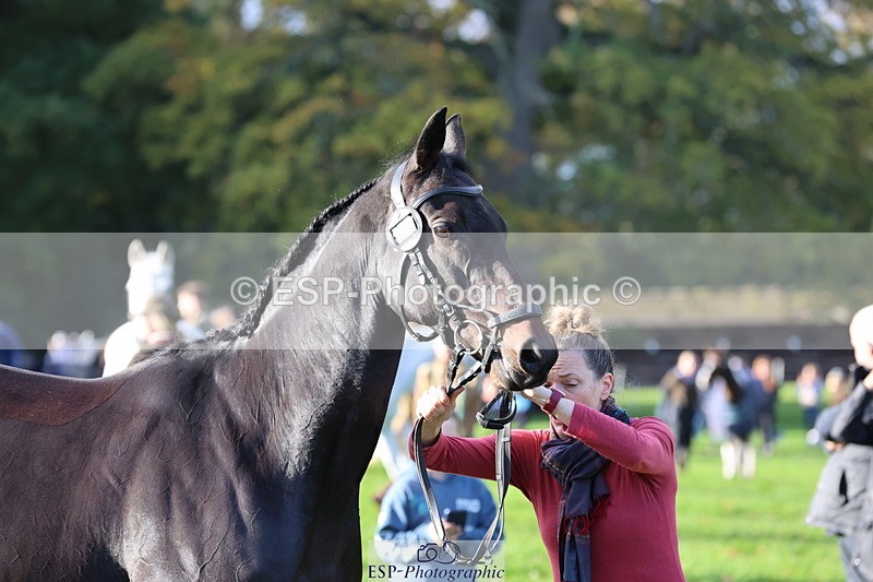 251026A-095506-22575 - D-306-Annabel.Mason