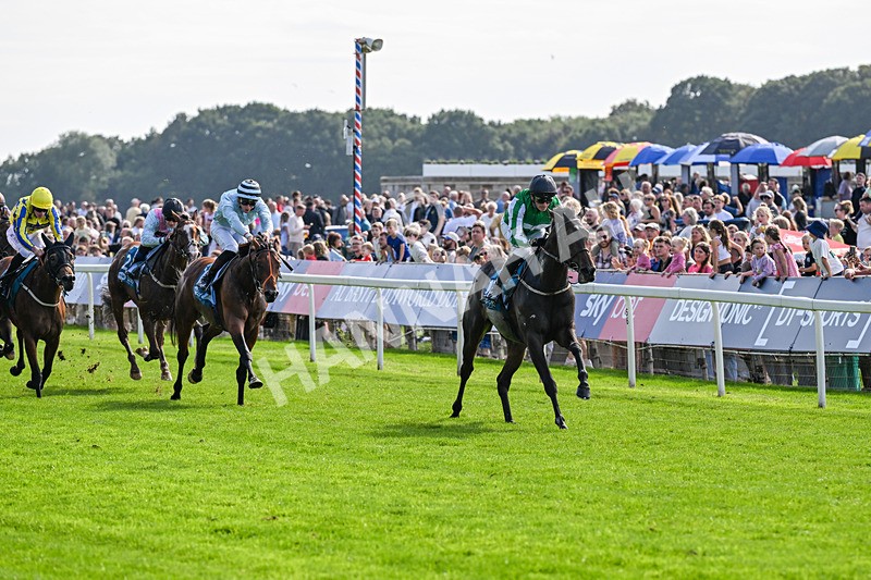 060926-Race 4-Stoneacre Donny-0260 - Race 4 3.15pm Saltmoore Collection Handicap