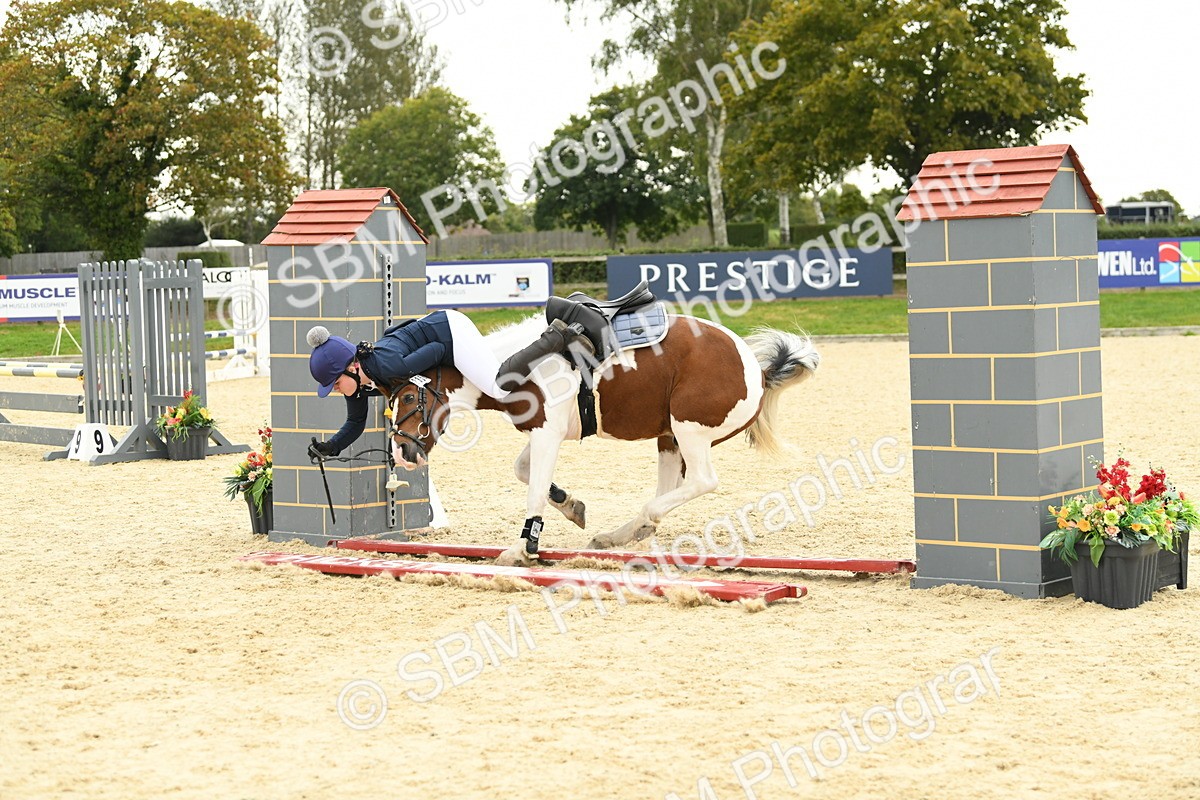 SBM_73192 - J16 - Junior Pony 75cm Championship