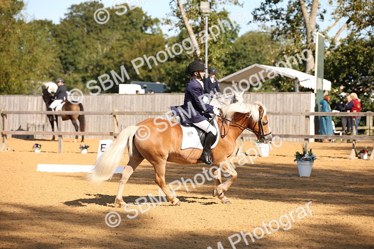 SBM_18389 - D31 - Grand Tour - PYO Open