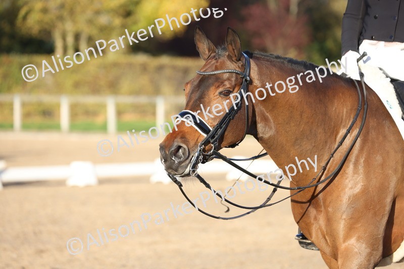 20251102-1442 - Class 12 - PSG