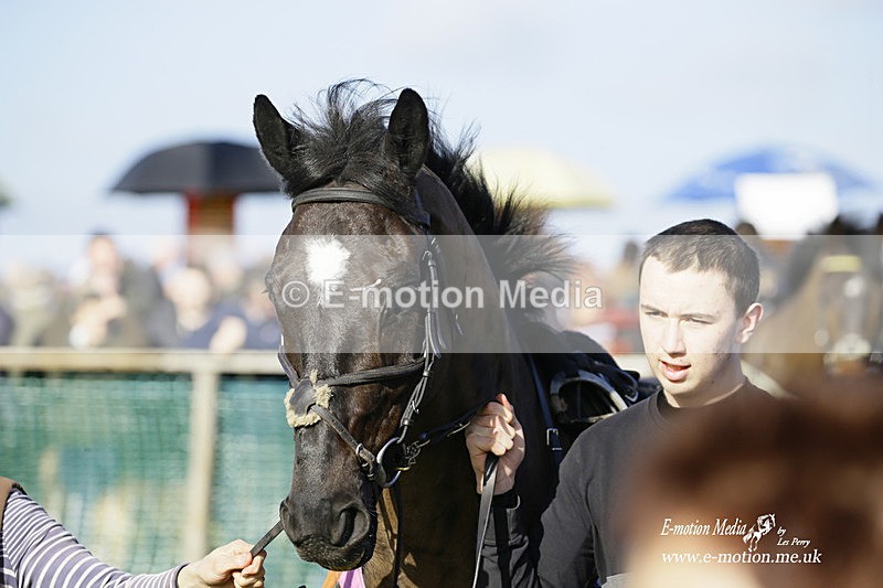PtP 300122 155 - South Dorset Hunt - Point-to-Point Races 30/01/2022