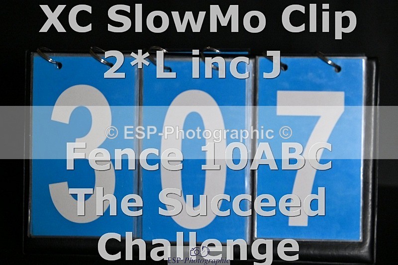 ESP_307 - C-307-Stephen.Heal
