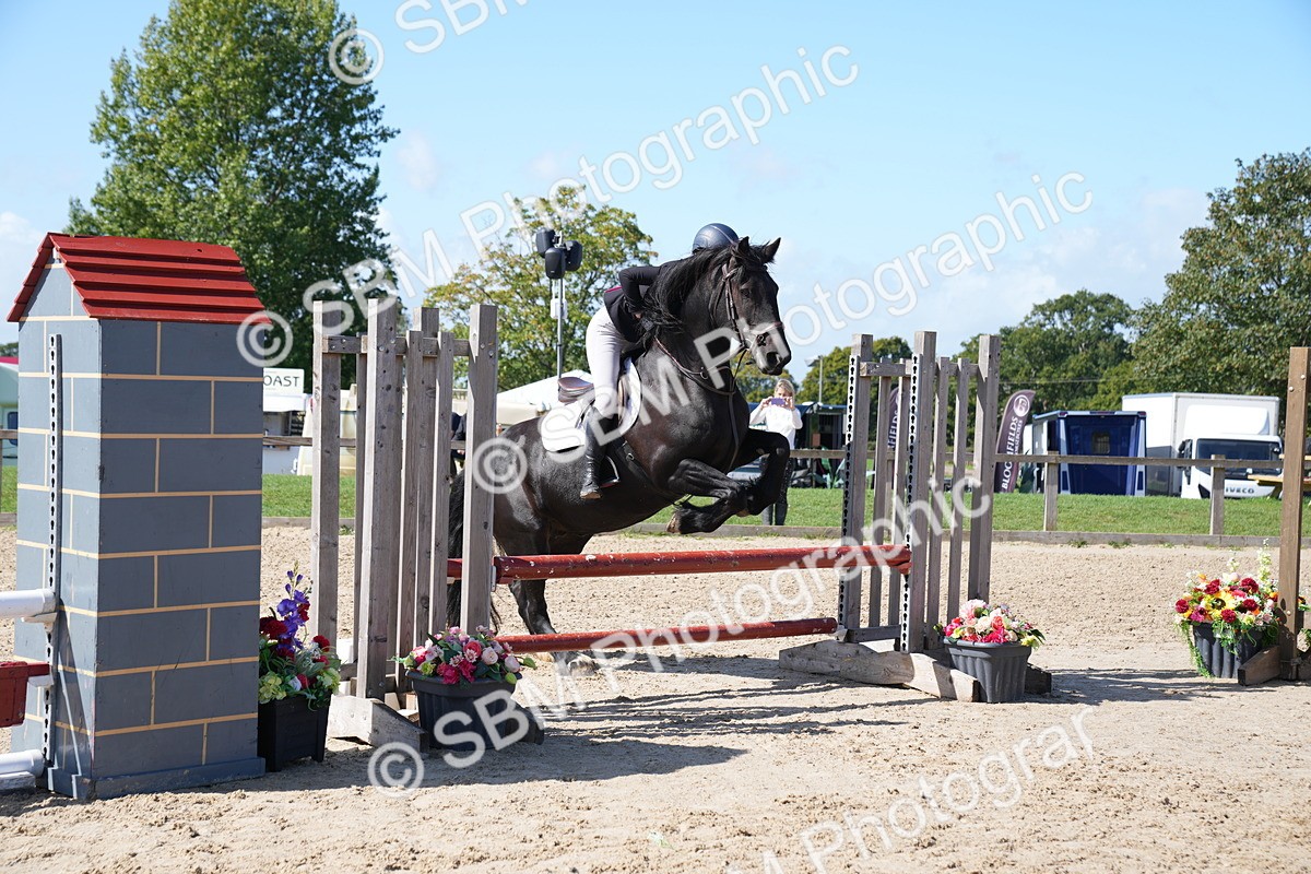 SBM_04974 - J56 - Clear Round 70cm