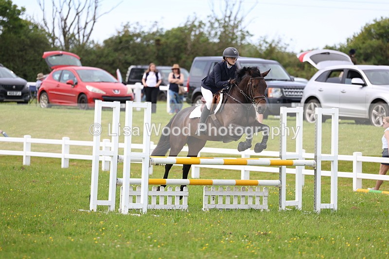 3E7A1806 - Class 13: Senior British Novice/90cm open