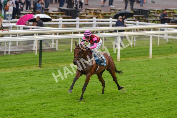 140723-Race 4-Andaleep-8252 - Race 4 3.50pm Azets Handicap