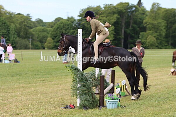 IMG_2474 - Working Hunter