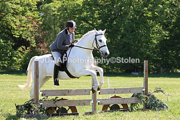IMG_4000 - Working Hunter