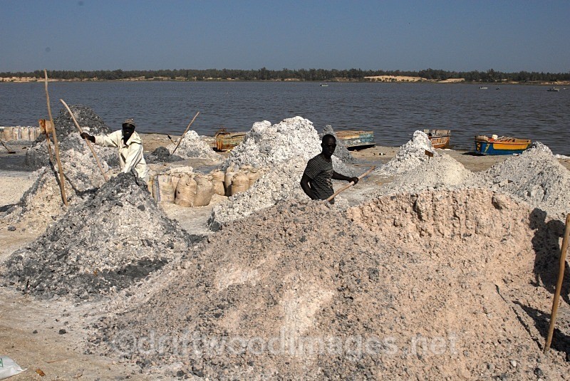 Senegal Lac Rose salt production 2 - Senegal Salt Production at Lac Rose
