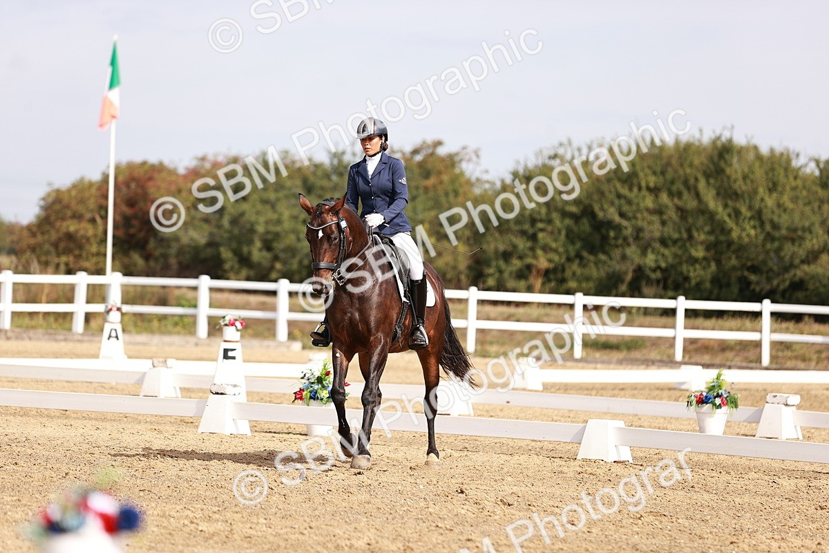 SBM_017571 - Class 11 - Advanced Medium 6