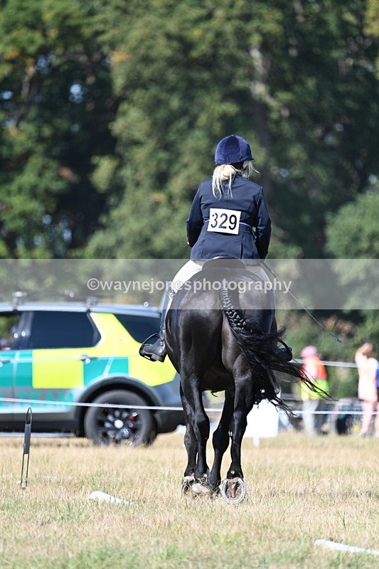 WJ7_9880 - Time 11:03 to 11:28