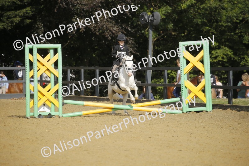 20250622-1195 - 40cm