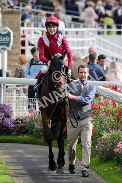 yr24092021r5-13 - Race 5 3.50pm William Hill Leading On Course Bookmaker Stakes