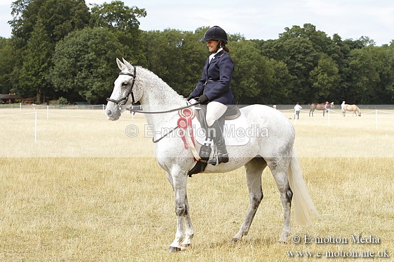 _BS_1019 - Working Hunter Championship BVRC Show 2018