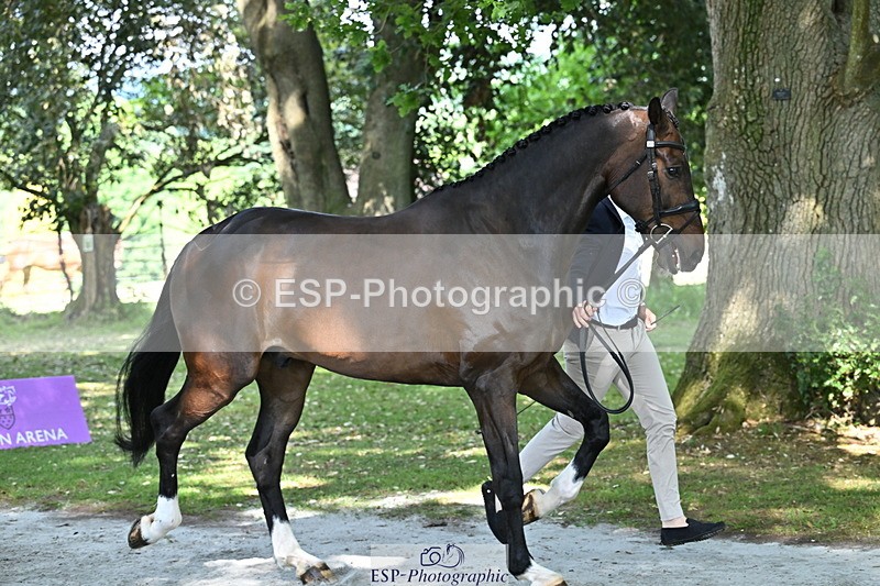 250521A-155002-00790 - B-372-Stephen.Heal-HISCO