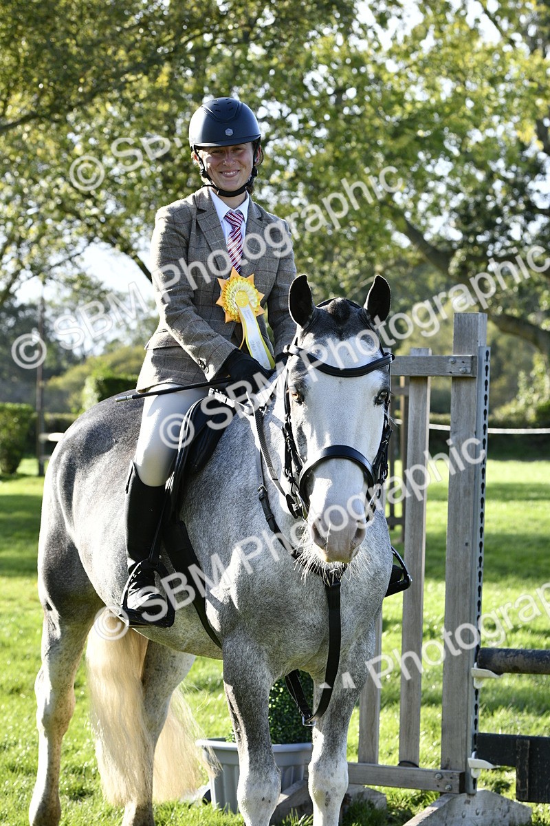 SBM_52275 - S35 - Working Hunter & Working Show Horse