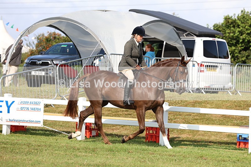 3E7A8516 - Class 3: Rising Star S/L Hunter