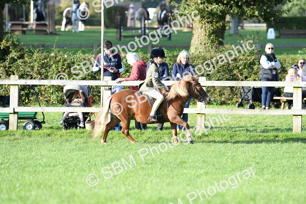 SBM_54076 - S23 - 1st Ridden Mountain & Moorland Pony