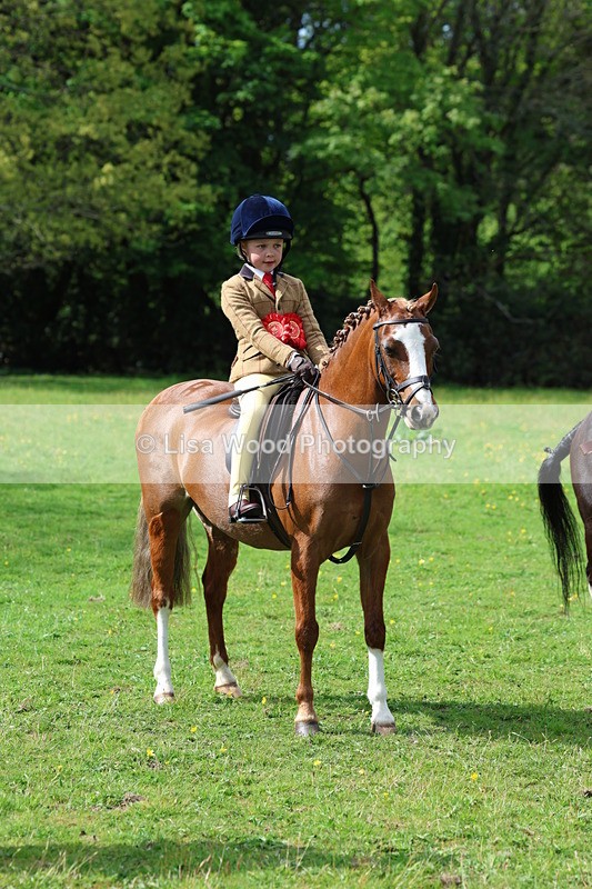 3E7A2721 - Working Hunter Championship