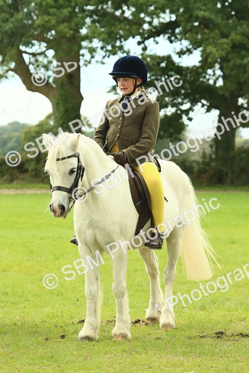 SBM_69985 - S59 - Mountain & Moorland Ridden Small Breeds