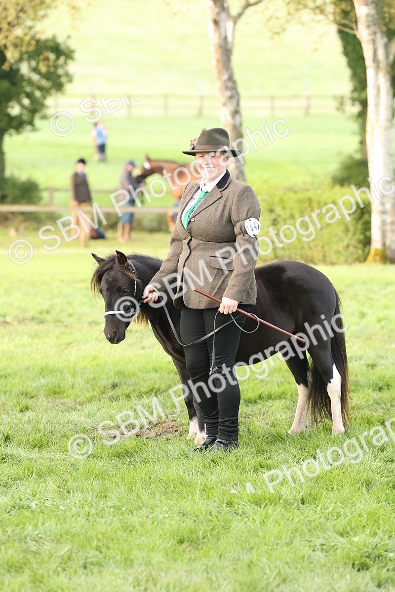 SBM_54416 - S51 - Foreign Breeds In Hand