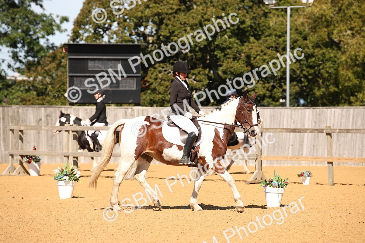 SBM_21628 - D5 - Small Tour Championship - Intro C
