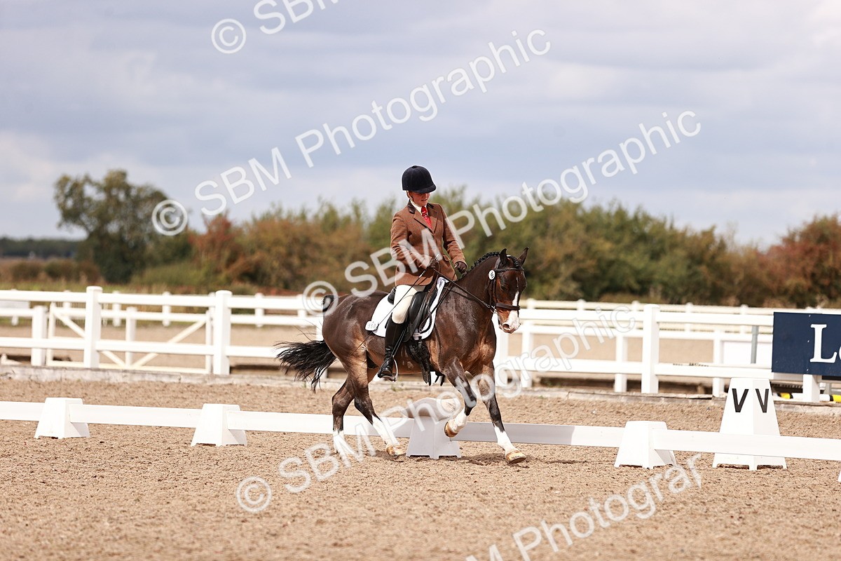 SBM_06228 - Class 37 - Novice 5