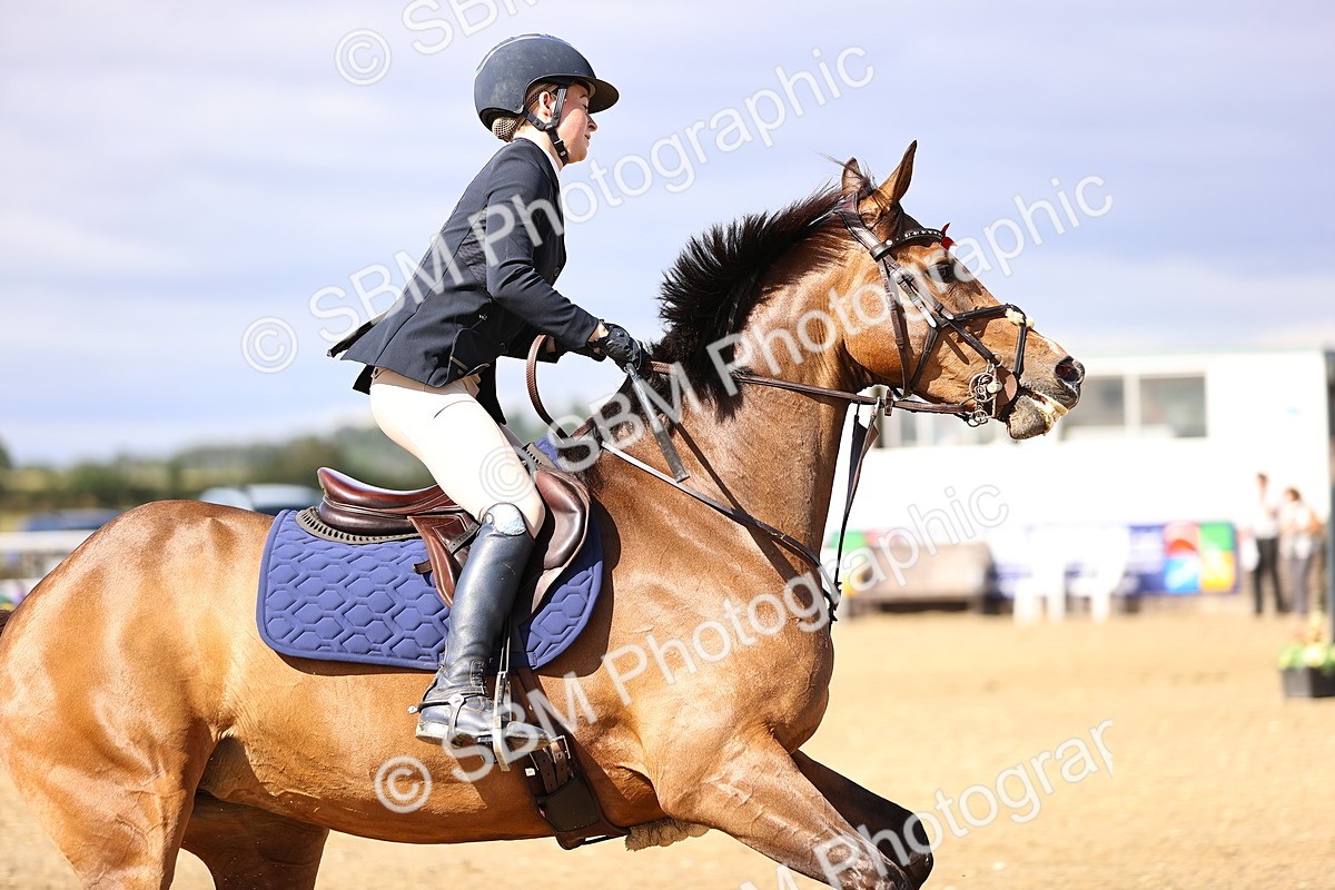 SBM_002816 - Class 20 - Senior Discovery - 1.00m
