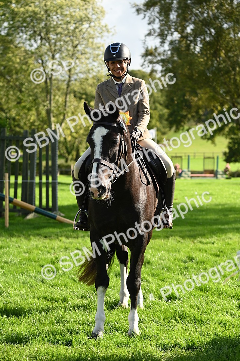 SBM_26486 - S6 - Novice & newcomer Ridden horse
