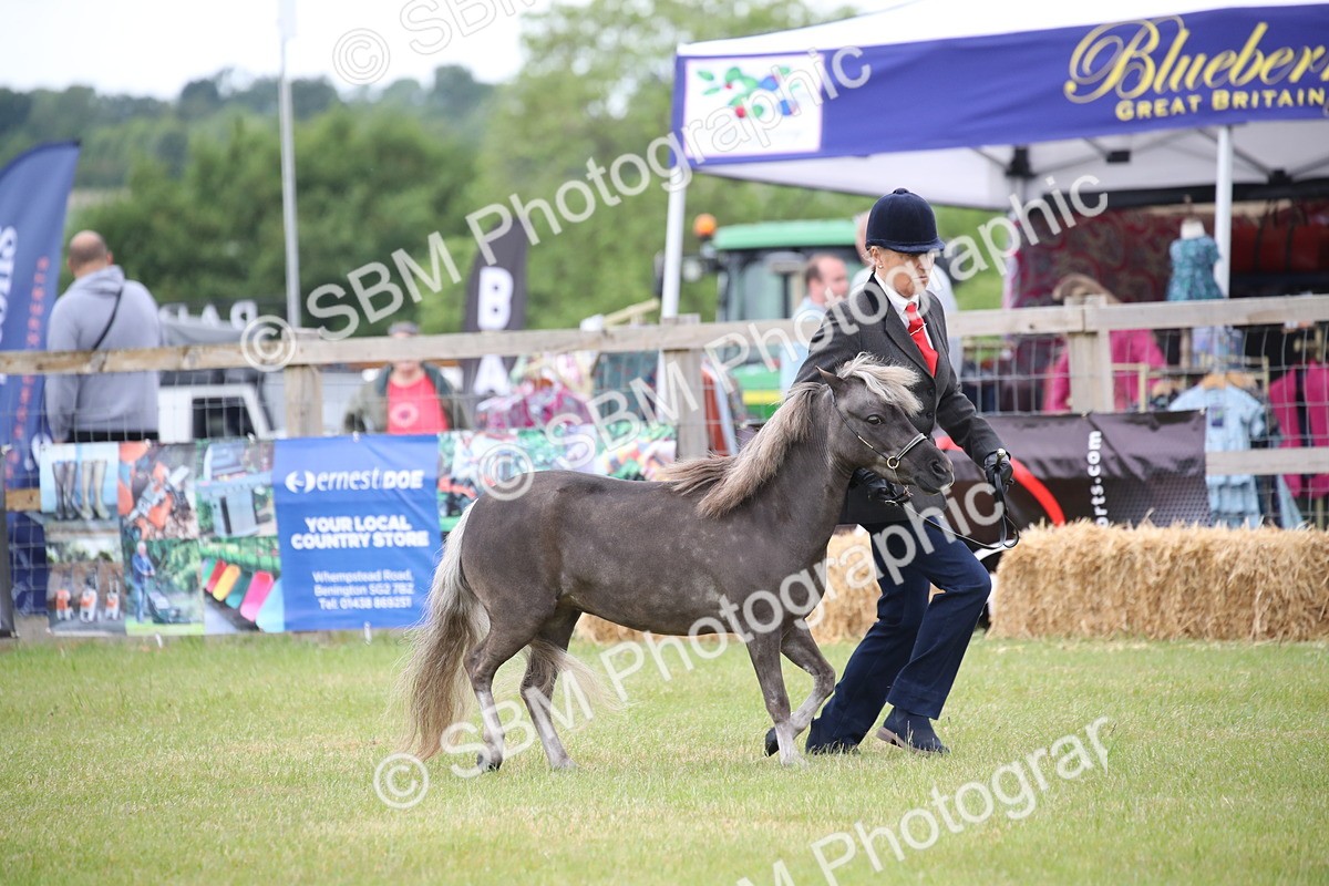 SBM_03864 - Class 23-25 - British Miniature Horse of the Year