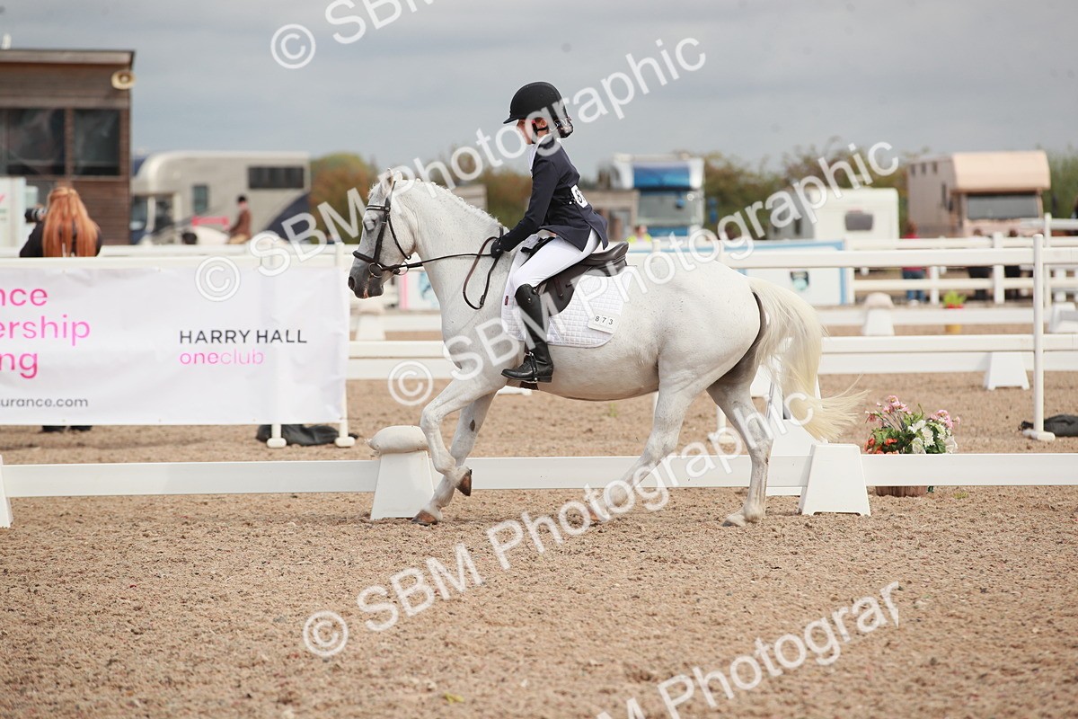 SBM_03977 - Class 31 - Prelim 1