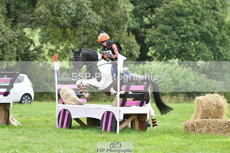 240804-144242-15107 - 555-Jack_Wish-WESTERLAKE_BUTTONWEED