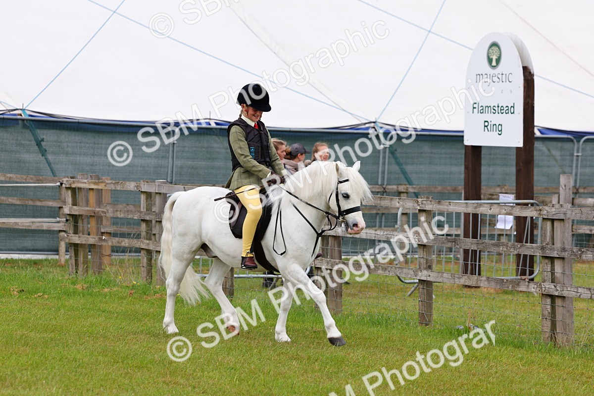 SBM_08512 - Class 42-43 - LIHS BSPS Heritage Working Sports Pony