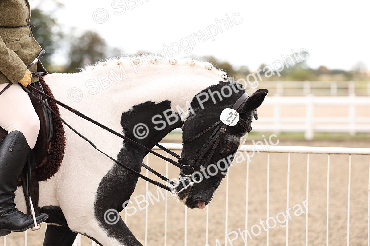 SBM_04175 - Class 54 - Riding Club Horse/Pony