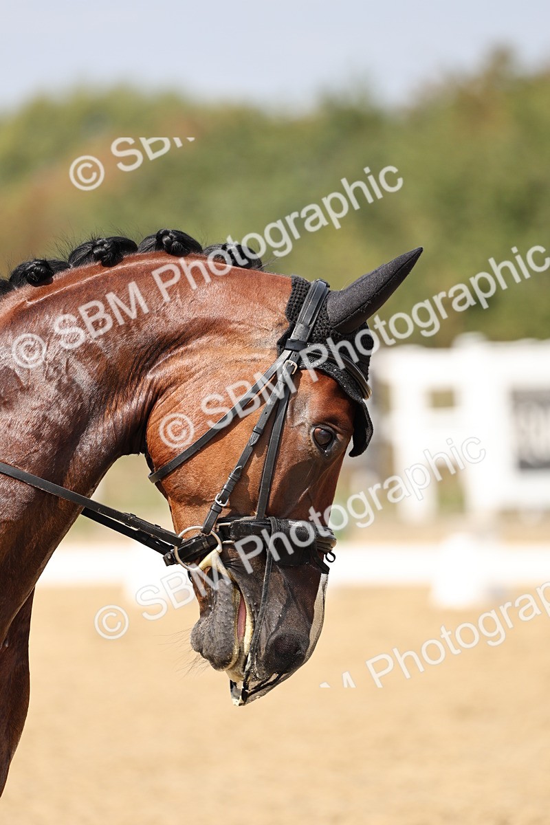 SBM_018782 - Class 16 - Novice 5 - 12.08-13.11