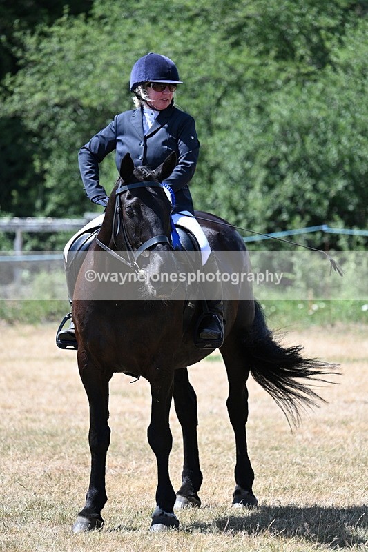 WJ7_3199 - Class 7 Riding Club Show Horse