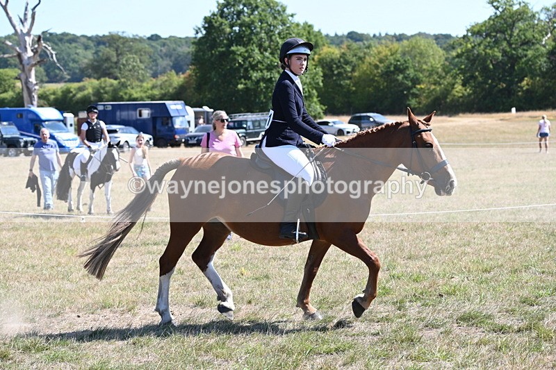 WJ6_8352 - Class 37a Best Loan Pony Ridden