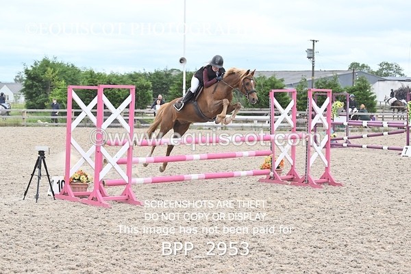 BPP_2953 - CLASS 7 Pony Discovery / 90cm Open