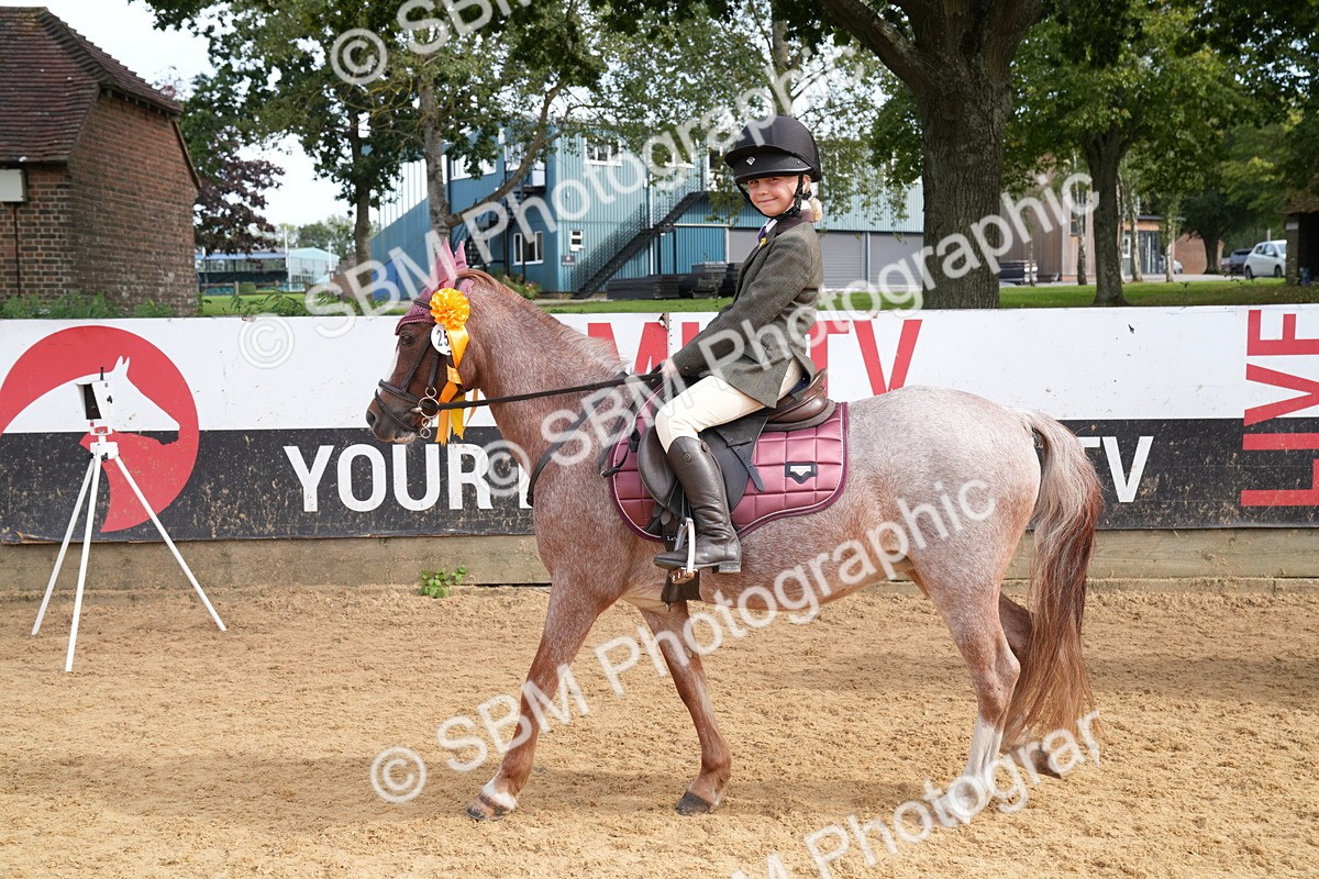 SBM_70520 - J3 - Mini Tour Junior Pony 40cm Championship