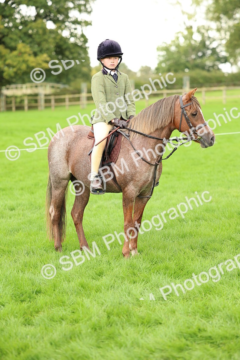 SBM_41872 - S32 - Mountain & Moorland Working Hunter Pony