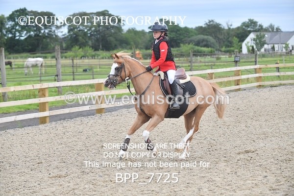 BPP_7725 - CLASS 3 Pony British Novice / 0.80m Open