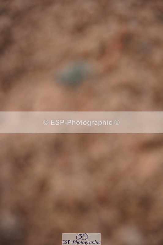 240628A-191114-01001 - Cls 3 1m Open