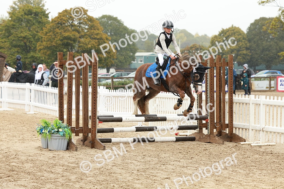 SBM_69355 - J13 - Junior Pony 60cm Championship